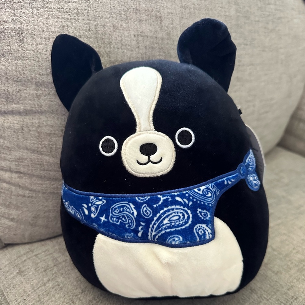 Tommy the boarder collie squishmellow 8 inch